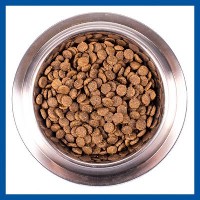 Корм сухой "Dog Speciality", для собак всех пород, с лососем и рисом, 12 кг – фото 3