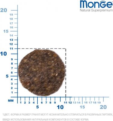 Сухой корм Speciality Line Puppy and Junior Mini Lamb, Rice and Potatoes с ягненком, рисом и картофелем для щенков мелких пород 2,5кг – фото 3