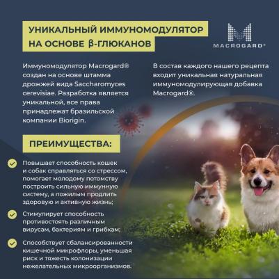 ADULT MINI Сухой корм для собак мелких пород, курица, 2 кг – фото 2