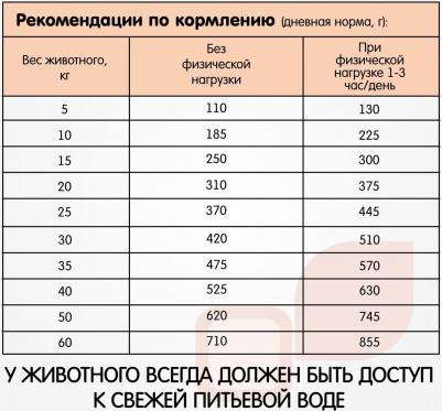 Сухой корм для собак, все породы, лосось и рис, 3кг – фото 4