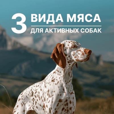 сухой корм для собак и щенков всех возрастов "Мясной коктейль", All life Stages, 3 Meat Recipe, ACTIVE 4670236595869 – фото 7