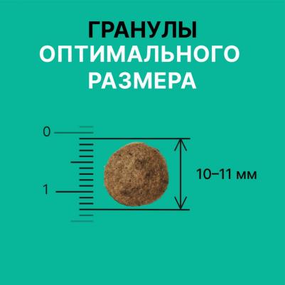 сухой корм для собак и щенков всех возрастов с мясом индейки и овощами, All life Stages, Turkey, HEALTHY DIGESTION 4670236595937 – фото 6