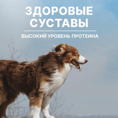 сухой корм для собак и щенков всех возрастов с мясом ягненка и овощами, All life Stages, Lamb, HEALTHY JOINT 4670236595890 – фото 2
