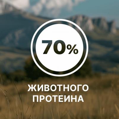 сухой корм для собак и щенков всех возрастов с мясом ягненка и овощами, All life Stages, Lamb, HEALTHY JOINT – фото 9