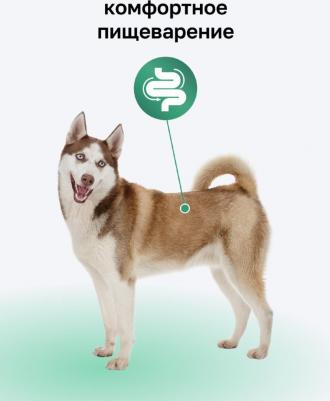 консервы премиум паштет с ягненком и сердцем для собак всех пород, 65% мяса – фото 1