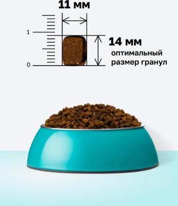 Preventive Line Hypoallergenic сухой корм для собак "Гипоаллергенный" 800 г – фото 12