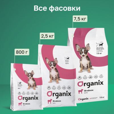 Сухой корм для щенков малых пород с ягненком, 0,8 кг – фото 2