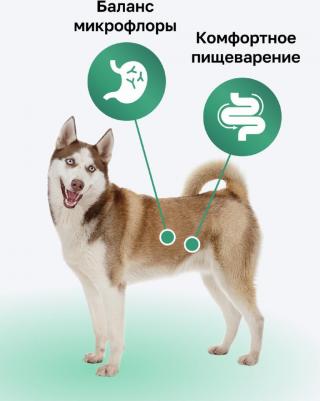 Сухой корм индейка, фрукты, овощи для чувствительного пищеварения собак 18 кг – фото 13