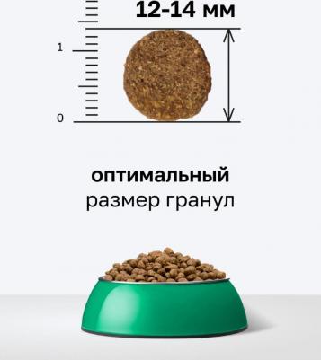 сухой корм сухой корм для взрослых собак крупных и средних пород с ягнёнком, фруктами и овощами, Adult Dog Large&Medium Breeds Lamb 4670236594053 – фото 8