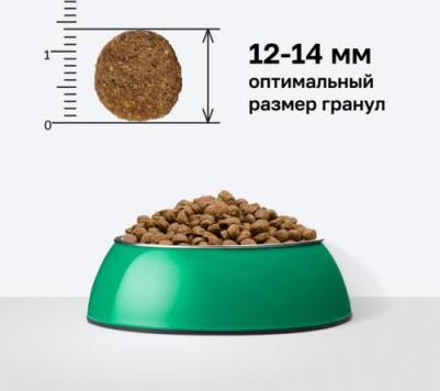 сухой корм сухой корм для взрослых собак с лососем, фруктами и овощами для чувствительного пищеварения, Adult Sensitive Dog Salmon 4670236594091 – фото 2