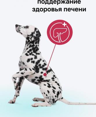 Влажный корм Hepatic с говядиной поддержание здоровья печени для собак 400 г – фото 8