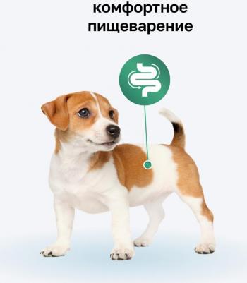 Влажный корм Мясное ассорти с говядиной и цукини для щенков 400 г – фото 8