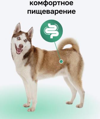 Влажный корм Сочная утка с печенью и тыквой для собак 400 г – фото 10