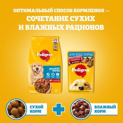 Сухой корм для взрослых собак всех пород, с говядиной, 2 кг – фото 2