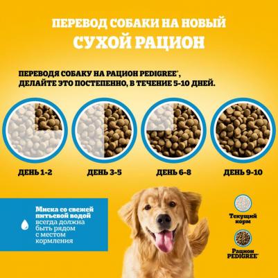 Сухой корм для взрослых собак всех пород, с говядиной, 2 кг – фото 13