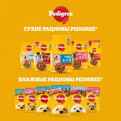 сухой полнорационный корм ® для взрослых собак маленьких пород, с говядиной, 500гр – фото 7