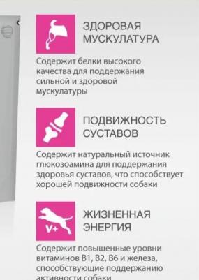 Сухой корм Adult 1+ Rich in Chicken с курицей для взрослых собак средних и крупных пород старше одного года 14,5кг – фото 19