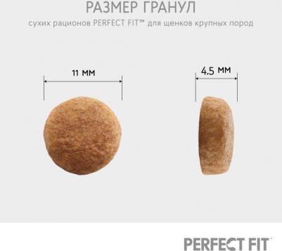 Сухой корм для щенков с курицей, 800 г – фото 4