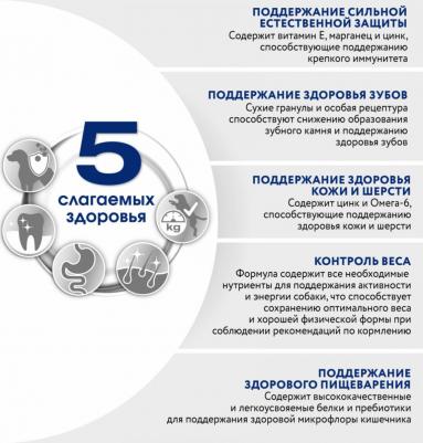 Сухой корм для собак Adult с курицей 1.4кг – фото 7