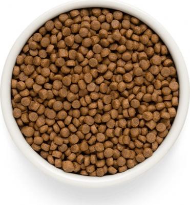 Dog Turkey Puppy сухой корм для щенков всех пород с индейкой – фото 10