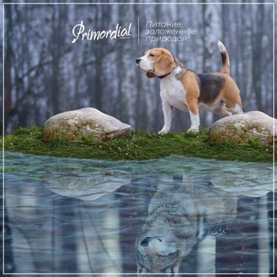 Сухой корм Grain Free Holistic Dog Adult All Breed with Buffalo & Mackerel беззерновой с буйволом и макрелью для собак 2кг – фото 6