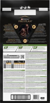 Large Puppy Athletic для щенков крупных пород атлетического телосложения – фото 12