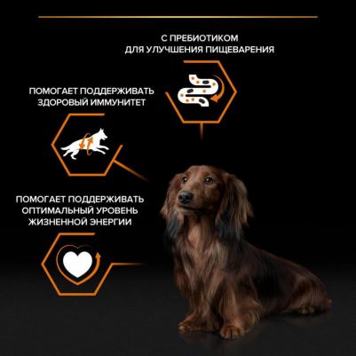 пауч для собак мелких и карликовых пород – фото 19