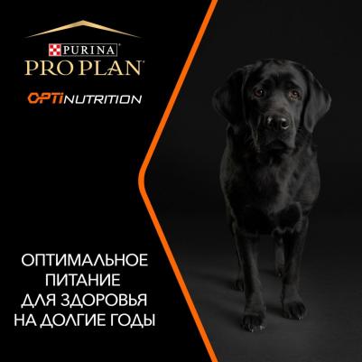 Сухой корм для собак с курицей 700 г – фото 20