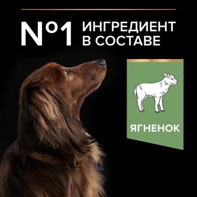 Сухой корм для взрослых собак мелких и карликовых пород с чувствительным пищеварением, ягненок и рис, 7кг – фото 5