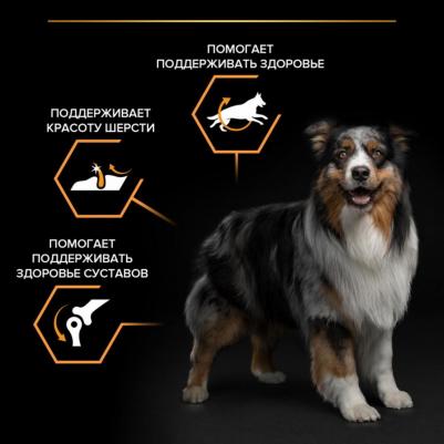 Сухой корм для взрослых собак средних пород, курица, 7кг – фото 7