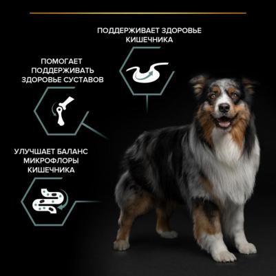 Сухой корм для взрослых собак средних пород с чувствительным пищеварением, ягненок и рис, 7кг – фото 14