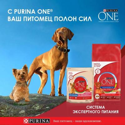 Корм для собак для чувствительной кожи c лососем рисом и морковью в подливе 85г – фото 20