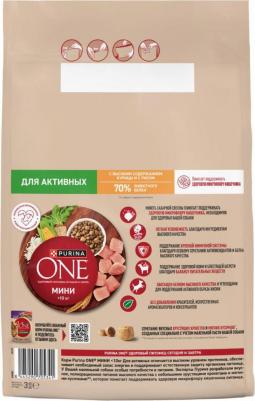 Mini сухой корм для собак мелких пород с активным образом жизни, с курицей и рисом - 7 кг – фото 2