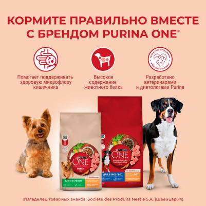 Сухой корм для собак мелких и карликовых пород с высоким содержанием говядины и рисом, 1,5 кг – фото 1