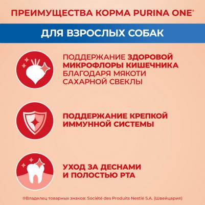 Сухой корм для собак мелких и карликовых пород с высоким содержанием говядины и рисом, 1,5 кг – фото 6