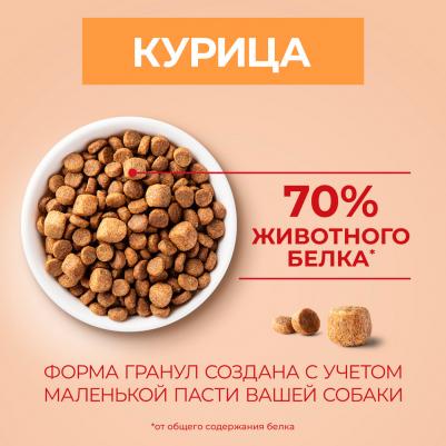 Сухой корм для собак мелких пород Мини "Активная" с курицей и рисом, 1,5 кг – фото 6