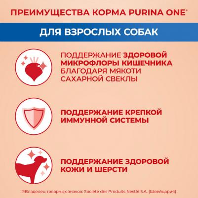 Сухой корм для собак средних и крупных пород с высоким содержанием говядины и рисом, 10 кг – фото 1