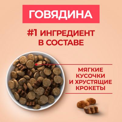 Сухой корм для собак средних и крупных пород с высоким содержанием говядины и рисом, 10 кг – фото 5