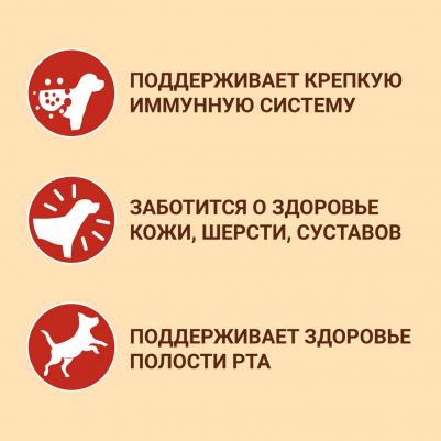 Сухой корм для собак средних и крупных пород с высоким содержанием говядины и рисом, 10 кг – фото 6