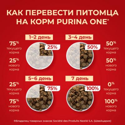 Сухой корм для собак средних и крупных пород с высоким содержанием говядины и рисом, 10 кг – фото 7