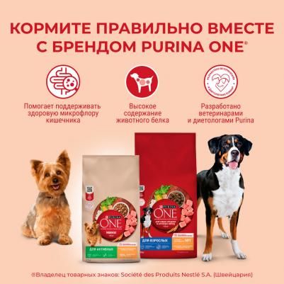 Сухой корм для собак средних и крупных пород с высоким содержанием говядины и рисом, 10 кг – фото 11