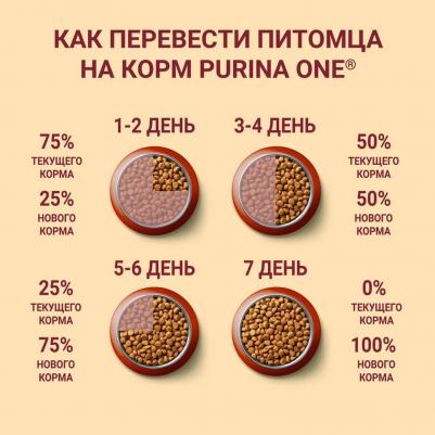 Сухой корм для собак средних и крупных пород с высоким содержанием говядины и рисом, 10 кг – фото 15