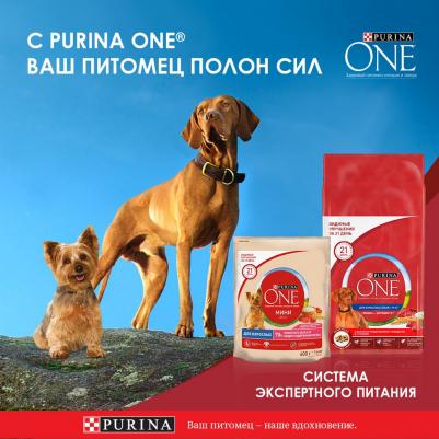 Сухой корм для собак средних и крупных пород с высоким содержанием говядины и рисом, 10 кг – фото 17