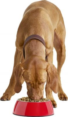 Сухой корм для взрослых собак средних и крупных пород, с говядиной и рисом, 3,8кг – фото 12