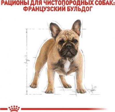 French Bulldog Adult для собак породы французский бульдог – фото 3