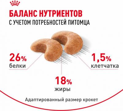 French Bulldog Adult для собак породы французский бульдог – фото 8