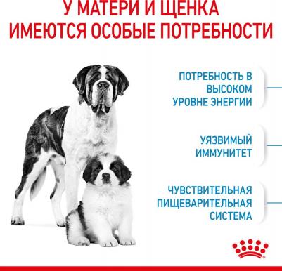 Giant Starter для щенков до 2 месяцев, беременных и кормящих сук гигантских пород – фото 10
