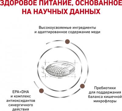 Hepatic HF16 при заболеваниях печени, 1,5 кг – фото 4