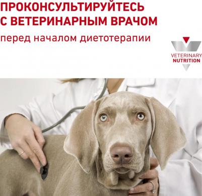Hepatic HF16 при заболеваниях печени, 1,5 кг – фото 13