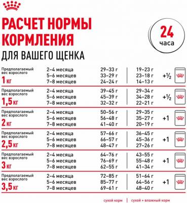 Корм для щенков Chihuahua Puppy для породы Чихуахуа до 8 месяцев сух. 1,5кг – фото 7